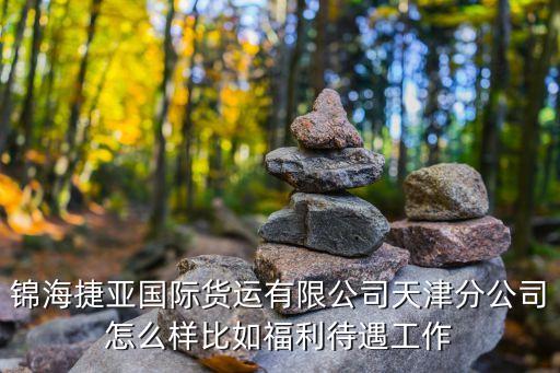 錦海捷亞國際貨運有限公司天津分公司怎么樣比如福利待遇工作