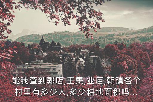 能我查到郭店,王集,業(yè)廟,韓鎮(zhèn)各個村里有多少人,多少耕地面積嗎...