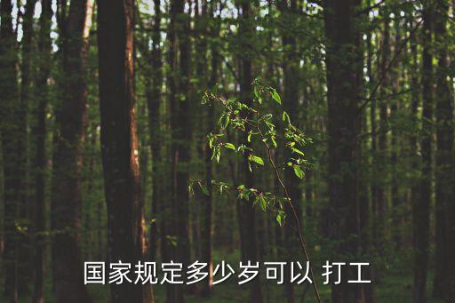 國(guó)家規(guī)定多少歲可以 打工