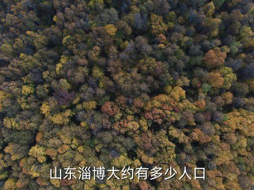 淄博市人口，淄博市有多少人口