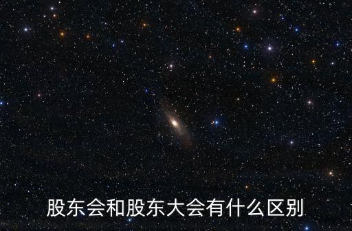 股東會，什么是股東會和股東大會