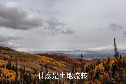 土地流轉(zhuǎn)是什么意思，土地流轉(zhuǎn)是什么意思
