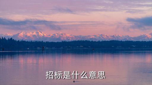 招標(biāo)什么意思，招標(biāo)到底怎么回事