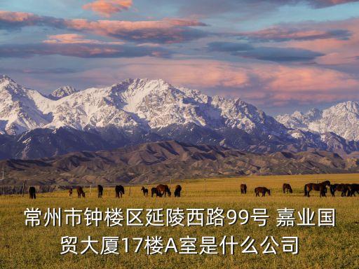 常州市鐘樓區(qū)延陵西路99號 嘉業(yè)國貿大廈17樓A室是什么公司