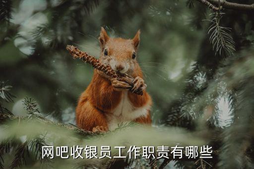 網(wǎng)吧收銀員，網(wǎng)吧收銀員工作職責(zé)有哪些