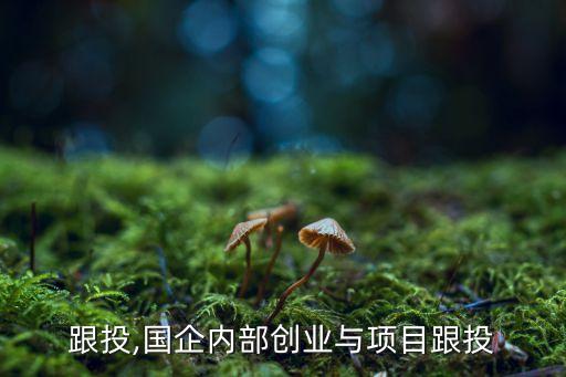 跟投,國企內(nèi)部創(chuàng)業(yè)與項(xiàng)目跟投