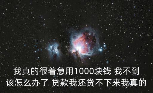 我急用錢怎么辦，現(xiàn)在急需資金周轉(zhuǎn)我該怎么辦