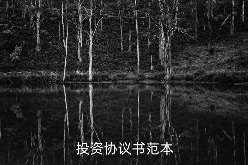 投資合同怎么寫模板,投資協(xié)議合同范本簡單
