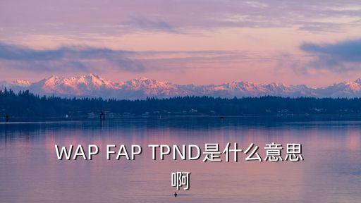 TPND，WAP FAP TPND是什么意思啊