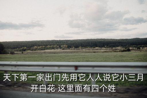 天下第一家出門先用它人人說它小三月開白花 這里面有四個姓