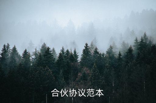 合伙人協(xié)議書(shū)合同模板