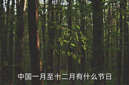 中國節(jié)假日，中國一月至十二月有什么節(jié)日