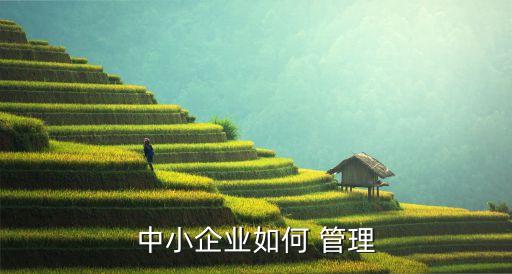 小公司管理方法,工廠管理和生產(chǎn)管理模式