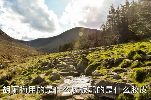 胡麗梅，胡麗梅用的是什么底板配的是什么膠皮