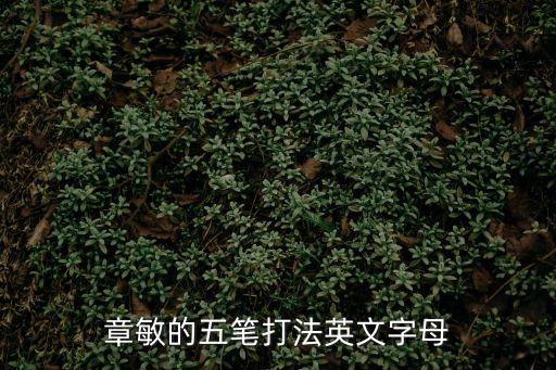 章敏的五筆打法英文字母