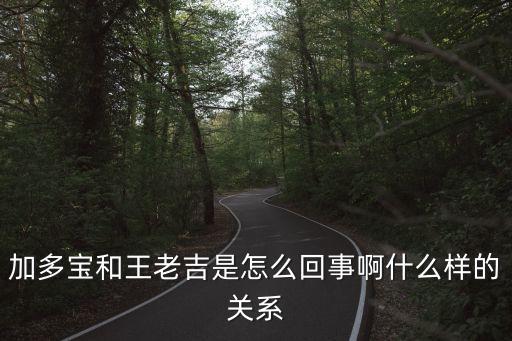 加多寶和王老吉是怎么回事啊什么樣的關(guān)系
