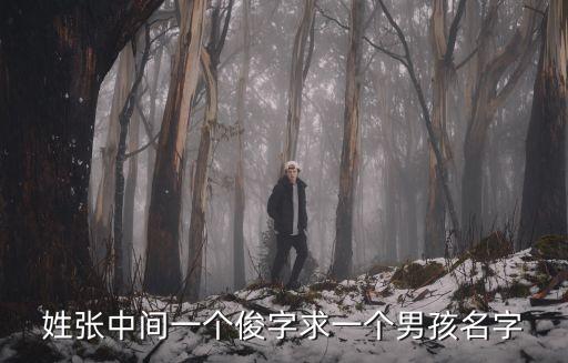姓張中間一個(gè)俊字求一個(gè)男孩名字