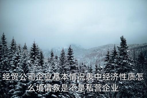 經(jīng)濟性質怎么填寫，投資方的經(jīng)濟性質是什么意思要怎樣填寫
