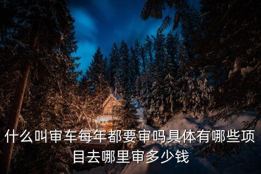 什么叫審車(chē)每年都要審嗎具體有哪些項(xiàng)目去哪里審多少錢(qián)