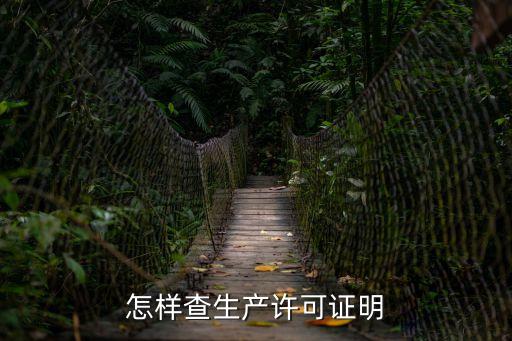 怎樣查生產(chǎn)許可證明