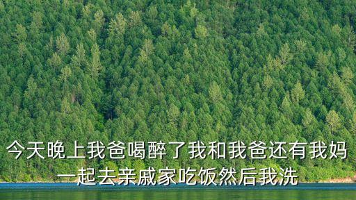 今天晚上我爸喝醉了我和我爸還有我媽一起去親戚家吃飯然后我洗