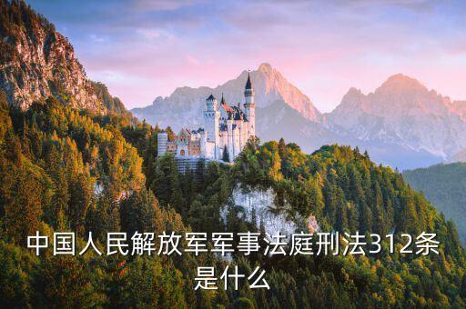 中國人民解放軍軍事法庭刑法312條是什么