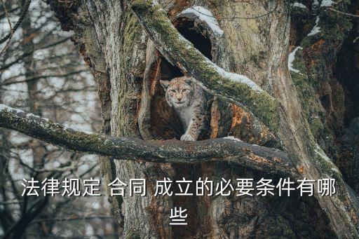 法律規(guī)定 合同 成立的必要條件有哪些