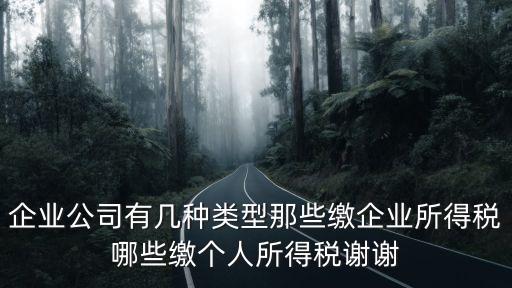 企業(yè)公司有幾種類型那些繳企業(yè)所得稅哪些繳個人所得稅謝謝