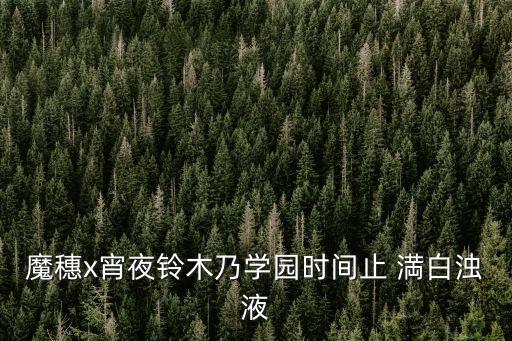 魔穗x宵夜鈴木乃學(xué)園時(shí)間止 満白濁液
