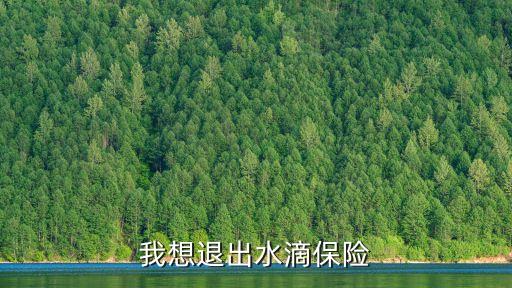 我想退出水滴保險