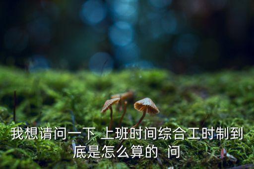 我想請(qǐng)問一下 上班時(shí)間綜合工時(shí)制到底是怎么算的  問