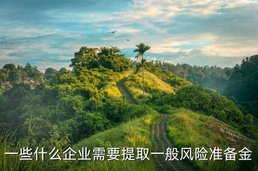 一般風(fēng)險(xiǎn)準(zhǔn)備，一般風(fēng)險(xiǎn)準(zhǔn)備的管理辦法