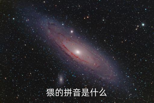 猥的拼音是什么