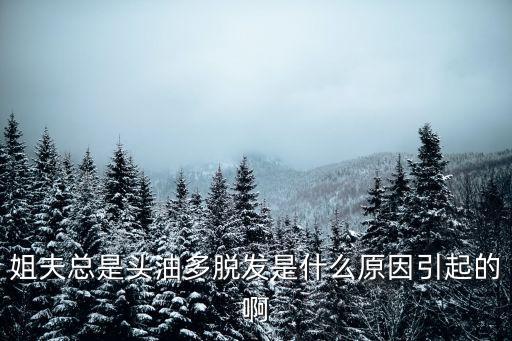 姐夫總是，姐夫總是頭油多脫發(fā)是什么原因引起的啊