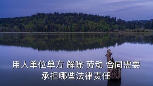用人單位單方 解除 勞動(dòng) 合同需要承擔(dān)哪些法律責(zé)任
