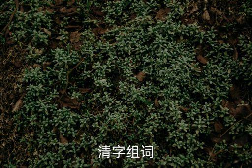 清組成，清字組詞