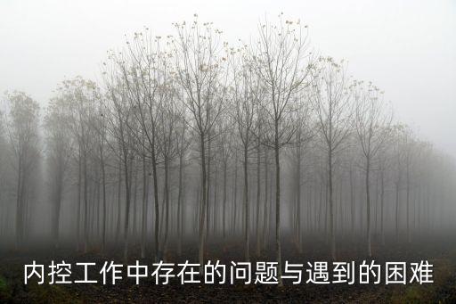 內控工作中存在的問題與遇到的困難