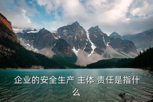 企業(yè)主體責(zé)任