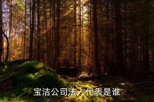 寶潔公司法人代表是誰