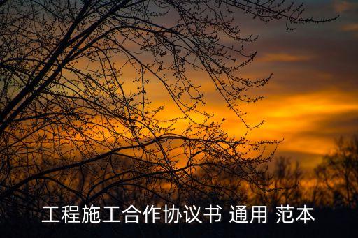 工程施工合作協(xié)議書 通用 范本