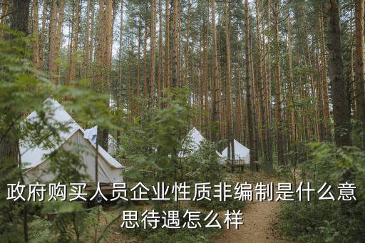 政府購(gòu)買(mǎi)人員企業(yè)性質(zhì)非編制是什么意思待遇怎么樣
