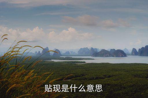 貼現(xiàn)是什么意思