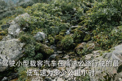 駕駛小型載客汽車在高速公路行駛的最低車速為多少公里小時
