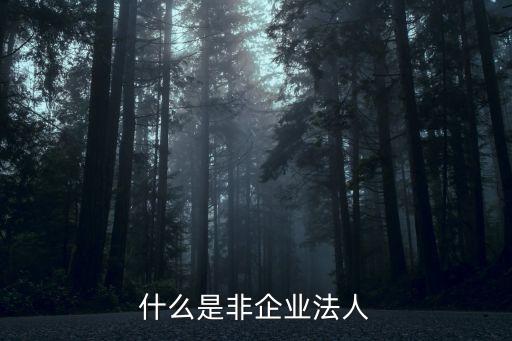 什么是非企業(yè)法人