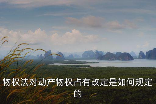 物權(quán)法對(duì)動(dòng)產(chǎn)物權(quán)占有改定是如何規(guī)定的