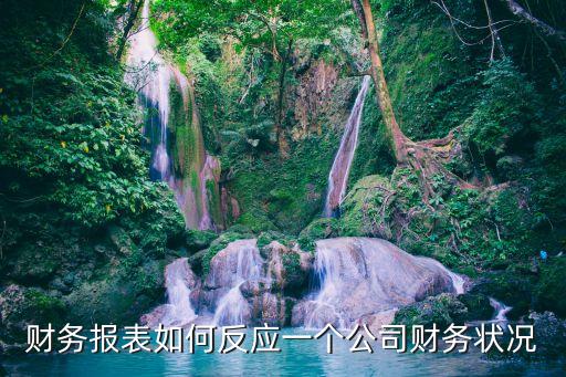 公司財務(wù)報表，會計報表有哪些