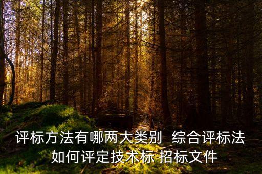 綜合評標(biāo)法，評標(biāo)辦法有幾種哦