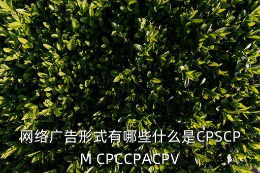 網(wǎng)絡廣告模式，網(wǎng)絡廣告都有哪些基本形式截圖說明 幫我 啊