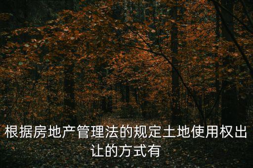 根據(jù)房地產(chǎn)管理法的規(guī)定土地使用權(quán)出讓的方式有
