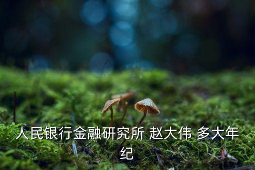 趙大偉，東南衛(wèi)視99年的模仿劉德華很像的那個(gè)人是誰啊